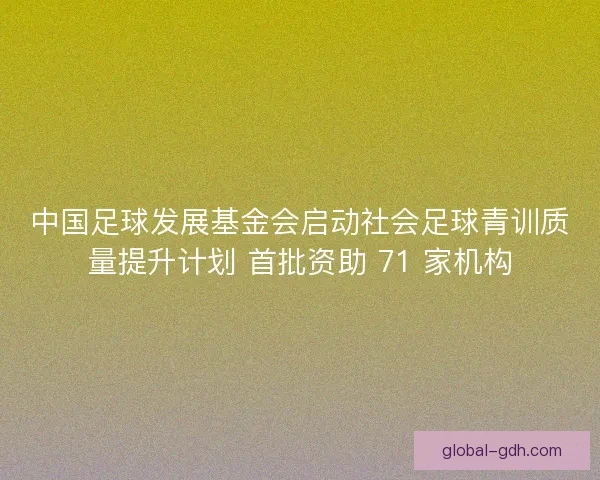 中国足球发展基金会启动社会足球青训质量提升计划 首批资助 71 家机构
